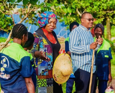 FAFECA et de Bangui Hub