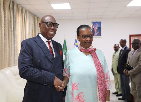 BANGUI – Le Premier ministre centrafricain Félix Moloua a reçu en audience Valentine Rugwabiza afin d’échanger sur les perspectives de reconfiguration de la MINUSCA dans un contexte marqué par l’évolution de la situation sécuritaire et institutionnelle du pays.